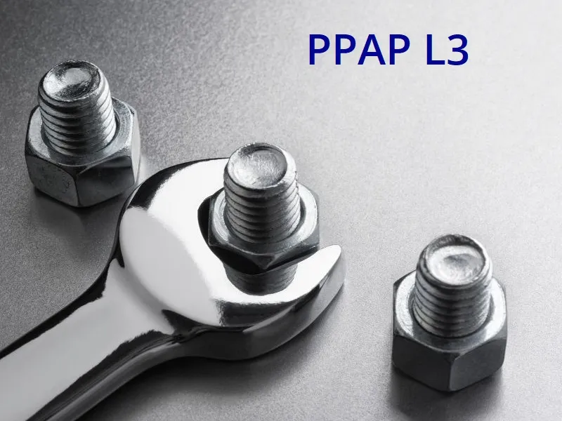 Stainless Steel Screw Manufacturer PPAP L3