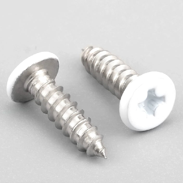 Paint Spraying Self tapping screws