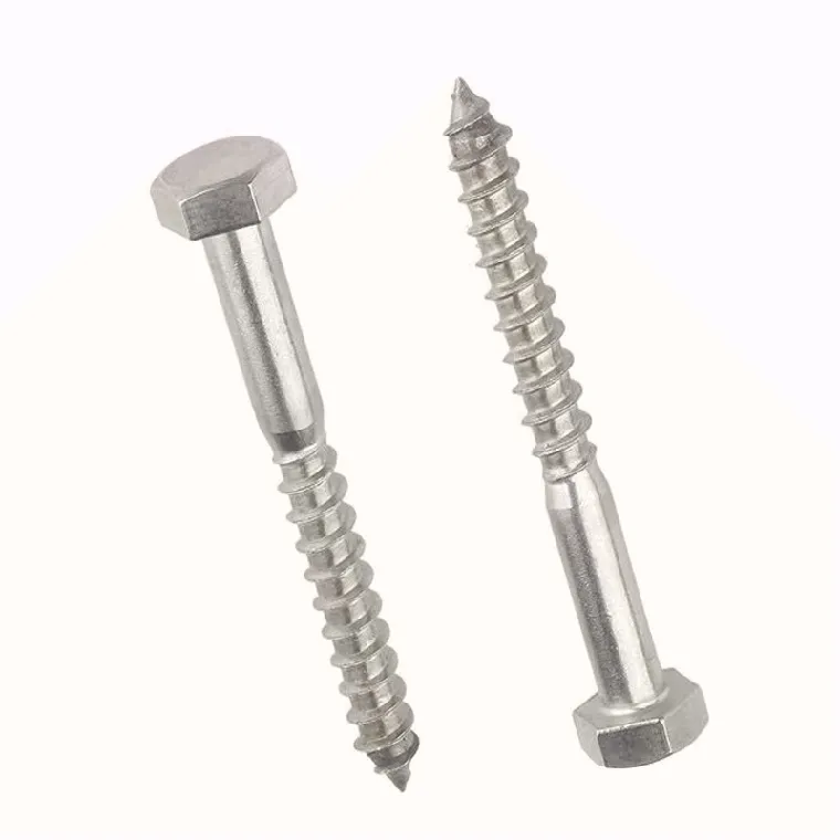 A2-70 Stainless Coach screws