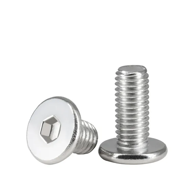 Stainless Steel Allen Socket flat Head Machine Screws