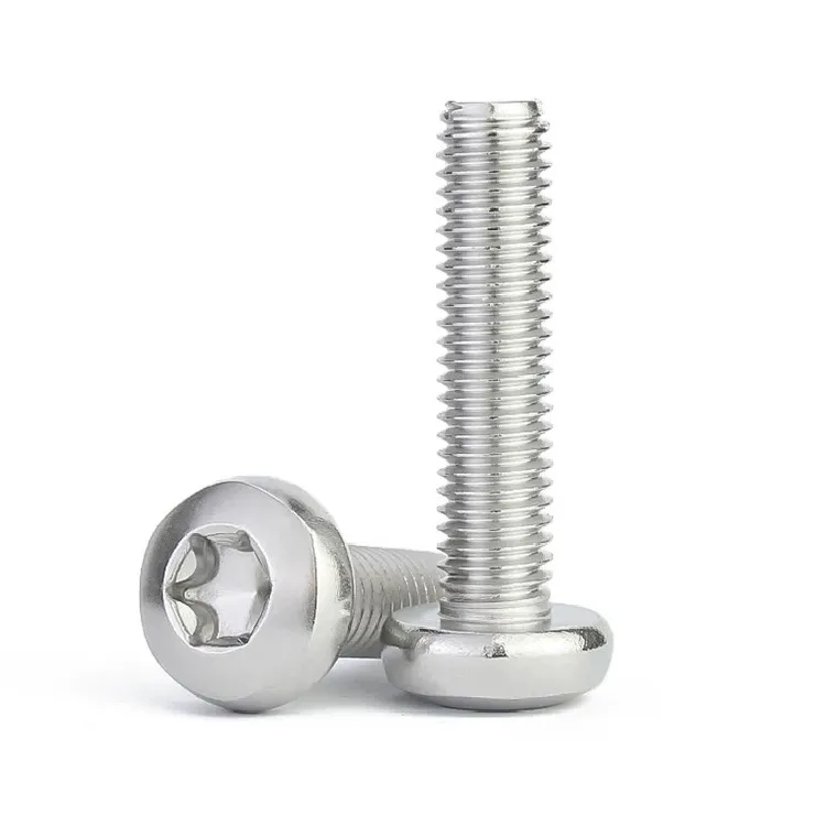 Stainless Steel Pan Head Torx Screws