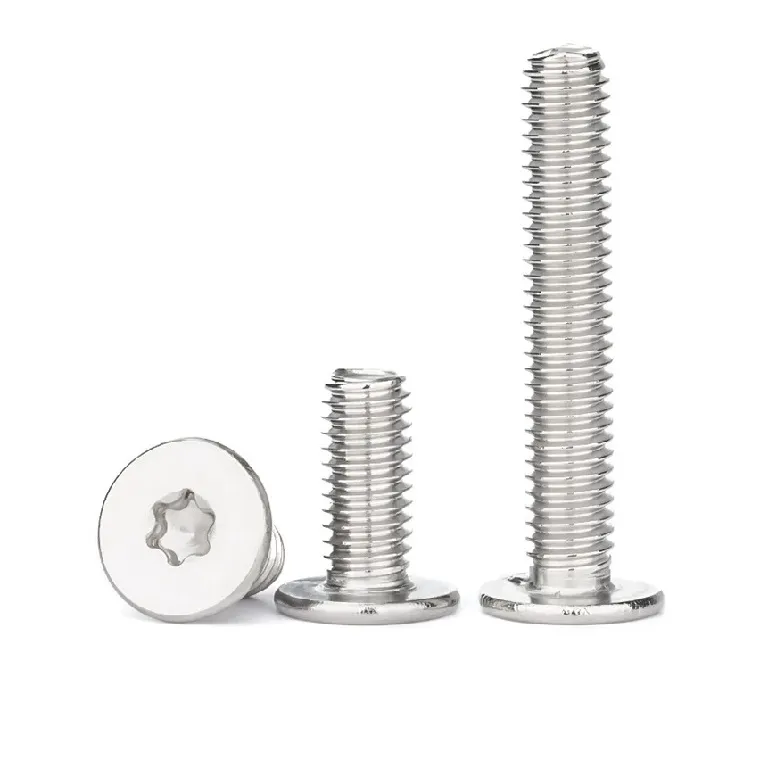 Stainless Steel Thin Head Torx Screws