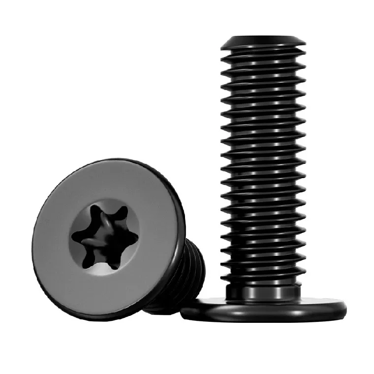 Stainless steel black flat head machine screws